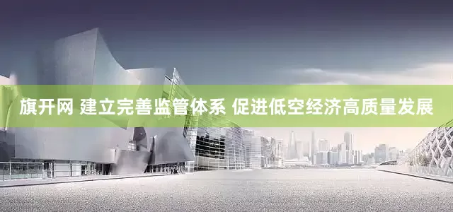 旗开网 建立完善监管体系 促进低空经济高质量发展
