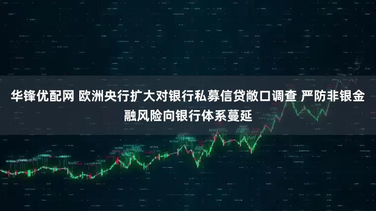 华锋优配网 欧洲央行扩大对银行私募信贷敞口调查 严防非银金融风险向银行体系蔓延